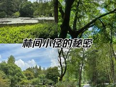 -杭州植物园