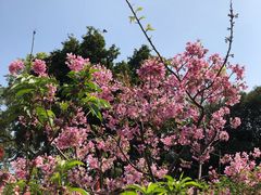 -桃花涧