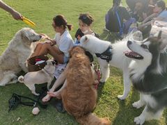 -上海长兴岛郊野公园