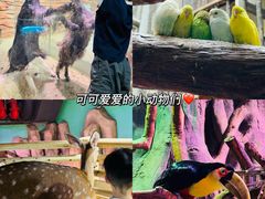 -正佳雨林生态植物园