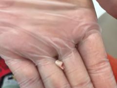 -新达口腔(华东理工大学店)