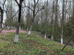 -白鹭湾湿地公园