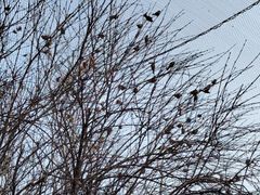 -森林公园(尖草坪区)