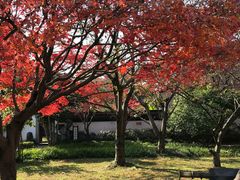 -浙江省博物馆(孤山馆区)