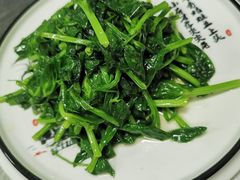 清炒豌豆尖-王胖子驴肉火烧(鼓楼店)