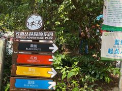 -芦仙山景区-飞越丛林探险乐园