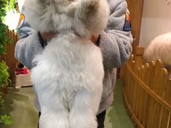 -藦茜花园宠物主题亲子互动体验馆(国顺东路店)