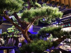 -绿茶餐厅(千岛湖银泰城店)