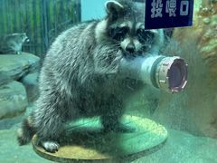 -大连圣亚海洋世界