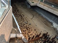 -元代水闸遗址博物馆