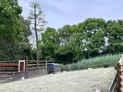 -洪湖家庭农场·团建·露营·会议