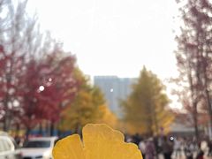 -辽宁大学(崇山校区)