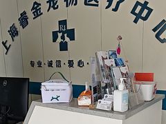 -睿金宠物医院·CT·肿瘤·骨外科