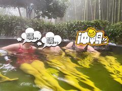 -江南天池高山汤泉城