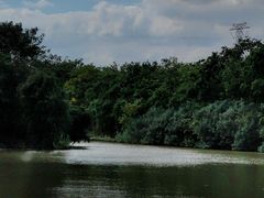 -宁波杭州湾国家湿地公园