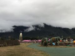 -丽江植物园