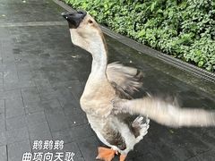 -越秀公园(地铁站)