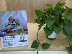 -自然之声助听器·呼吸机(康桥旗舰店)