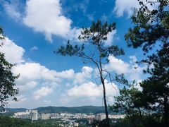-火炉山森林公园