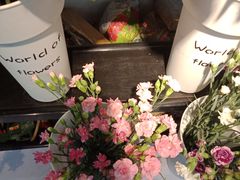 -万卉源鲜花店(百尚生活广场店)