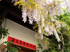 -浙江大学(玉泉校区)