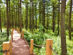 -塞罕坝国家级自然保护区