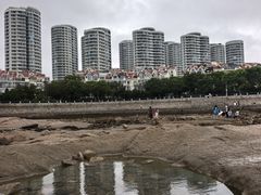 -燕儿岛山公园