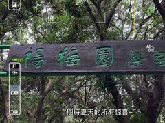 -宝岩生态观光园