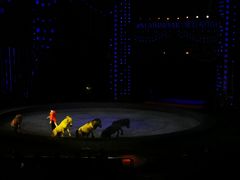 -珠海横琴长隆《卡卡虎奇遇记》