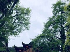 -青城山