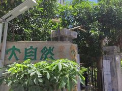 -大自然素食(望桐路店)