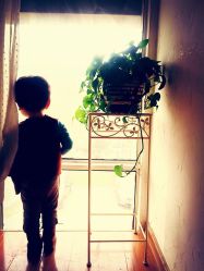 星豆豆儿童摄影(南郊花园店)-星豆豆儿童摄影(南郊太白南路店)