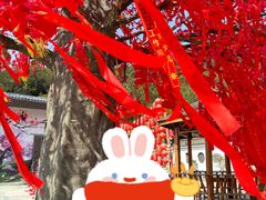 -东莞观音山旅游风景区