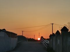 -上海野生动物园