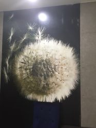 -小咖儿童理发(晶采大厦店)