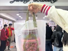 -珍妮曲奇聪明小熊(尖沙咀店)