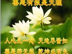 -美联众合动物医院(唯恩分院)