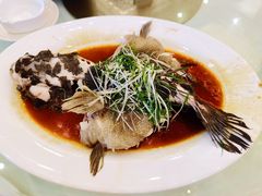 笋壳鱼-新灿记大酒楼