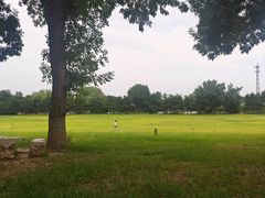 -石家庄市植物园