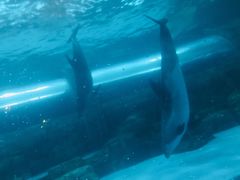 -波塞冬旅游度假区