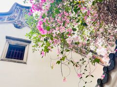 -深圳国际园林花卉博览园