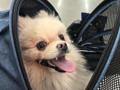 -迪卡侬(西华店)