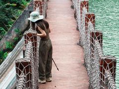 -广州白江湖森林公园