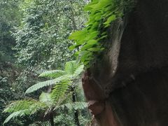 -赤水丹霞旅游区·佛光岩