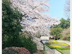 -杭州少年儿童公园