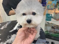 -宠物家(角门东店)