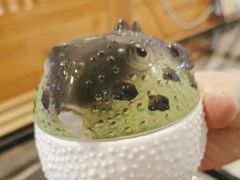 -天正河鲀·河豚亭(大连店)