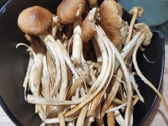 茶树菇-探窝·竹笙椰子鸡(杨箕店)