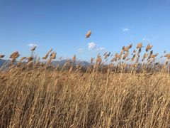 -野鸭湖国家湿地公园