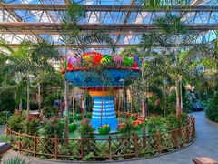 -南宫五洲植物乐园